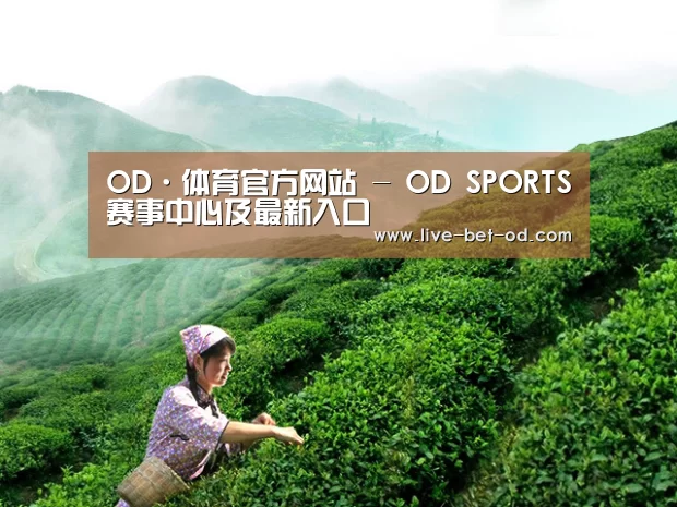 OD·体育官方网站 - OD SPORTS赛事中心及最新入口