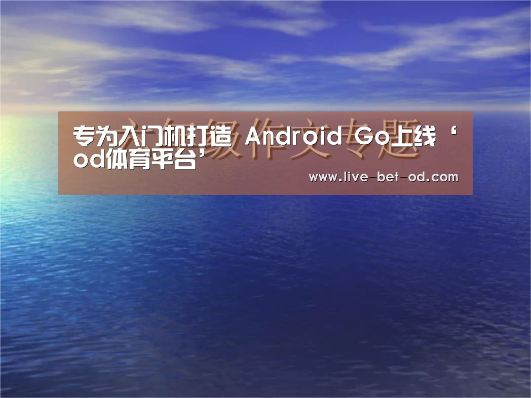 专为入门机打造 Android Go上线‘od体育平台’(图1) od体育平台