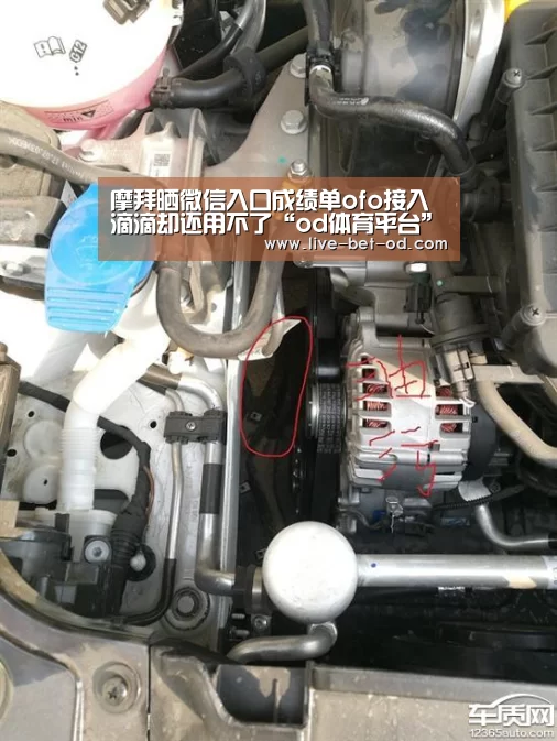 摩拜晒微信入口成绩单ofo接入滴滴却还用不了“od体育平台”(图3) od体育官方入口