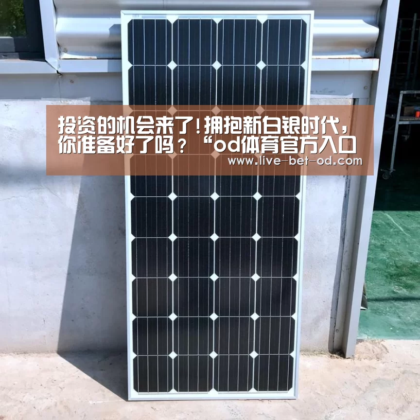 投资的机会来了!拥抱新白银时代,你准备好了吗?“od体育官方入口”(图1) od体育官方入口